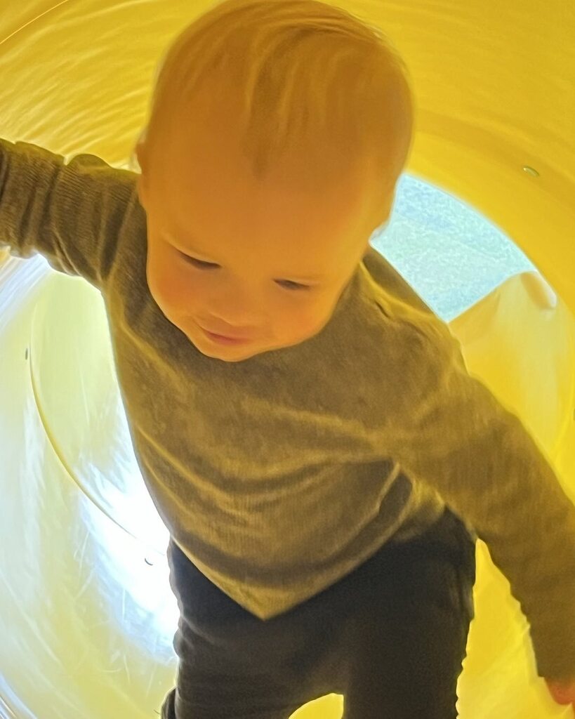 msplybon's tweet photo. The wonder and joy of life. https://t.co/H1WxsdQeSx https://t.co/9AH50yV7hU