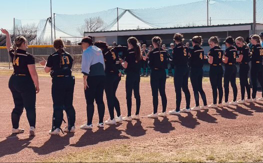 lowryhighsoftball tweet media