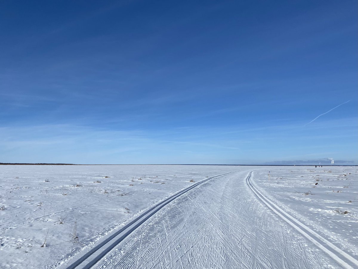 Melkein koko viikonloppu meni tietokoneen äärellä. Ei siinä mitään, kun ruudun takana oli oikea tieteen ihmemaa (toimikuntatyötä <a href="/SuomenAkatemia/">Suomen Akatemia | Research Council of Finland</a>).

Mutta parasta oli kuitenkin siskon kanssa tehty eväsretki Liminganlahden laduille! #kevät