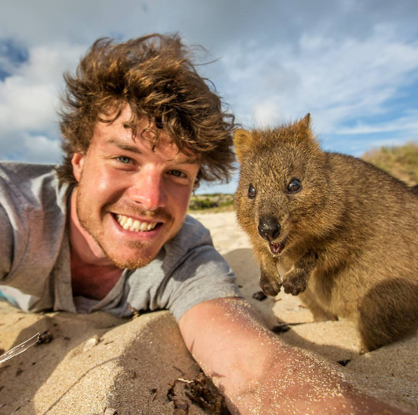 poptime's tweet photo. 🚨 VEJA: Allan Dixon, o especialista mundial em fazer selfies com animais.

Em alguns casos, ele chega a ficar horas convivendo com o animal para ganhar a confiança deles! https://t.co/4ERnp9wPie