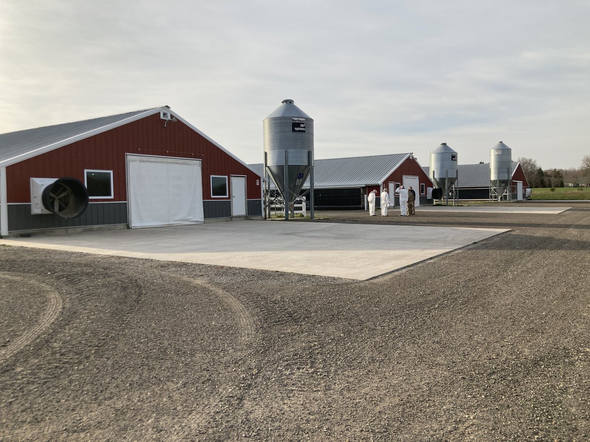 JenniferRhodes3's tweet photo. Special guests on St. Patrick's Day for a visit to my son's chicken farm.

#MDA #SecofAg #Perdue #CEO #familyfarm #11thgenerationfarmer #chickencheckin #familyfirst  #farmlifebeslife #farm #chickenfarm #welovefarming #farmlife #farmerandenvironmentalist #educating #UMD #UME https://t.co/WwriEDwkf0