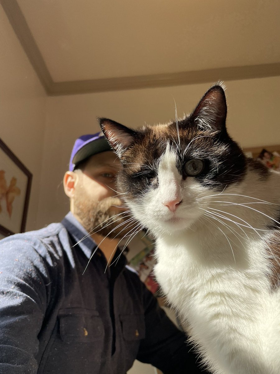 SummyTummies tweet media