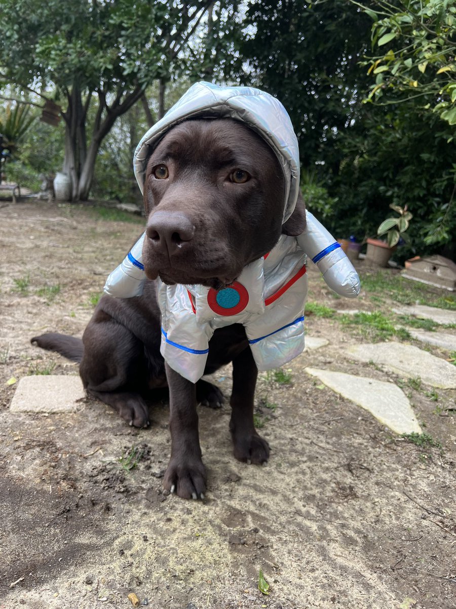 SummyTummies tweet media