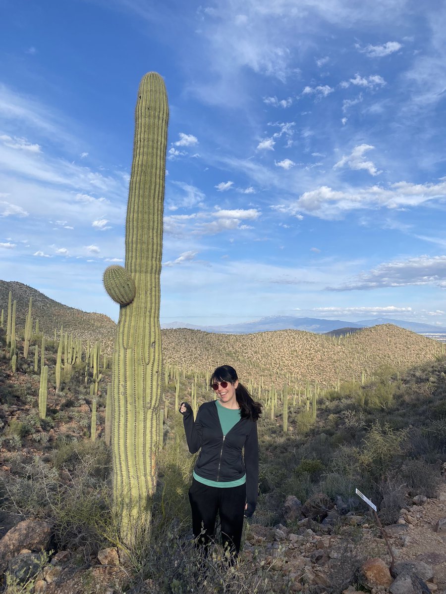 Christine Foley, MD tweet media