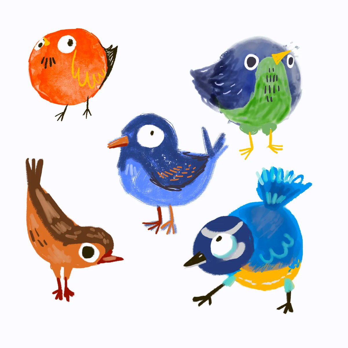 Borbs
#birdillustrations  #illustration  #art