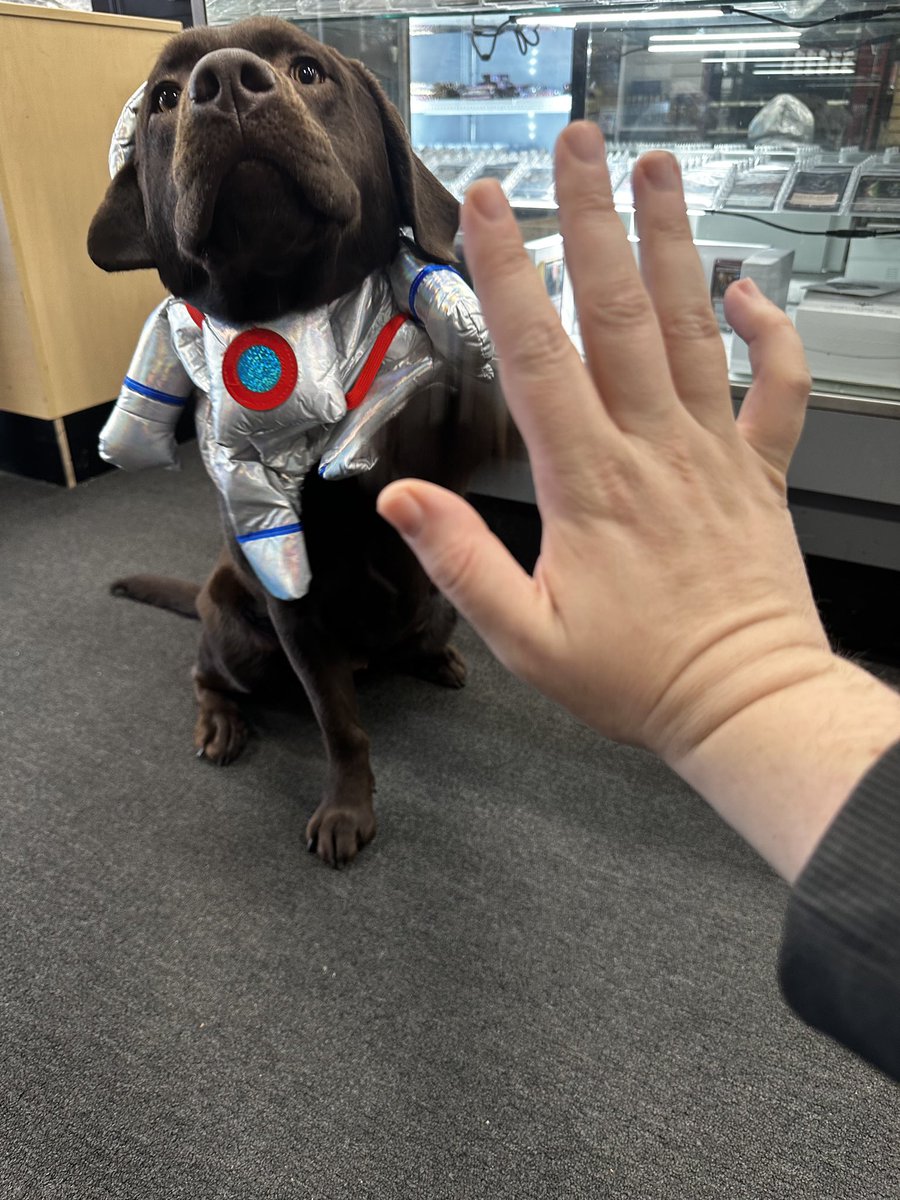 Rachel Weeks tweet media