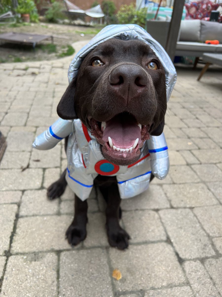 Matt Monroe (@heymonroe) / Posts / X, image size:900x1200