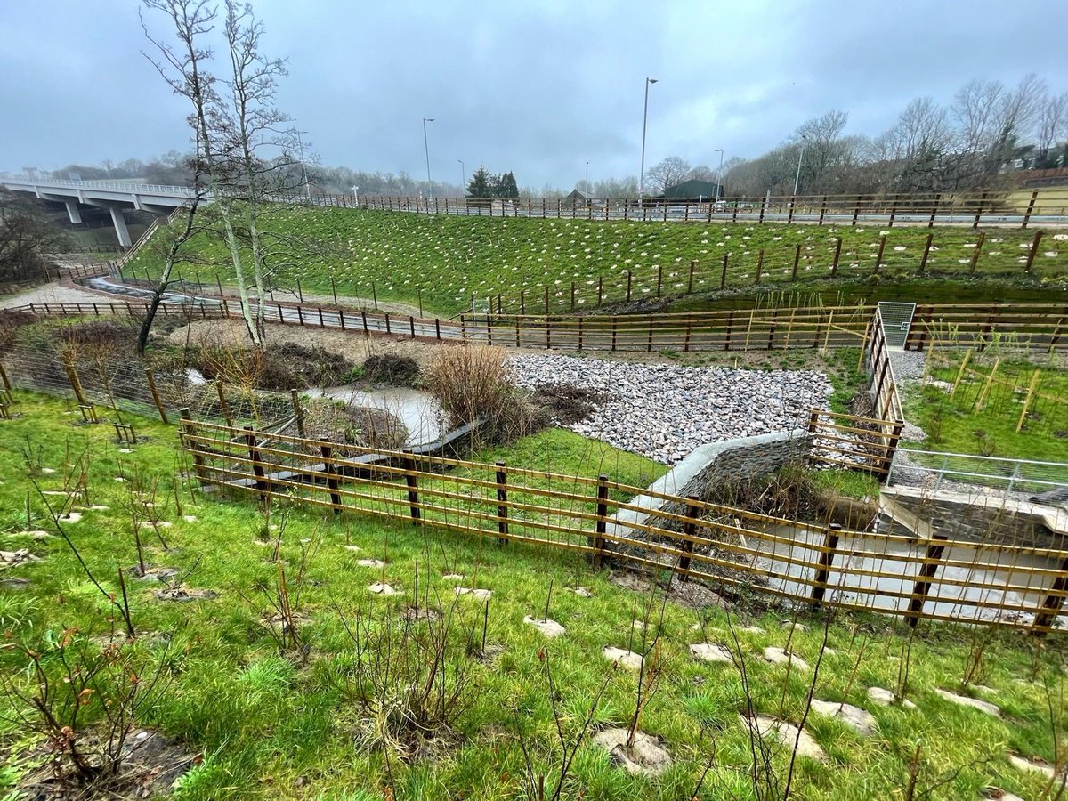 Plymouth Live tweet media