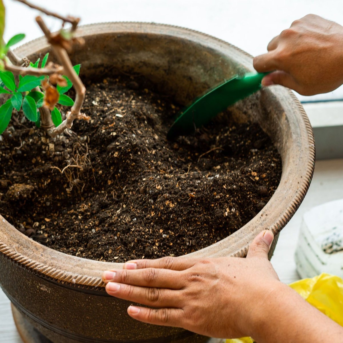 fishnure's tweet image. Make sure to mix your organic fertilizers into your soil thoroughly to ensure even distribution of nutrients. #ProperMixing #EvenDistribution