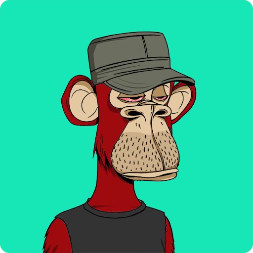 Freaknjoe tweet media