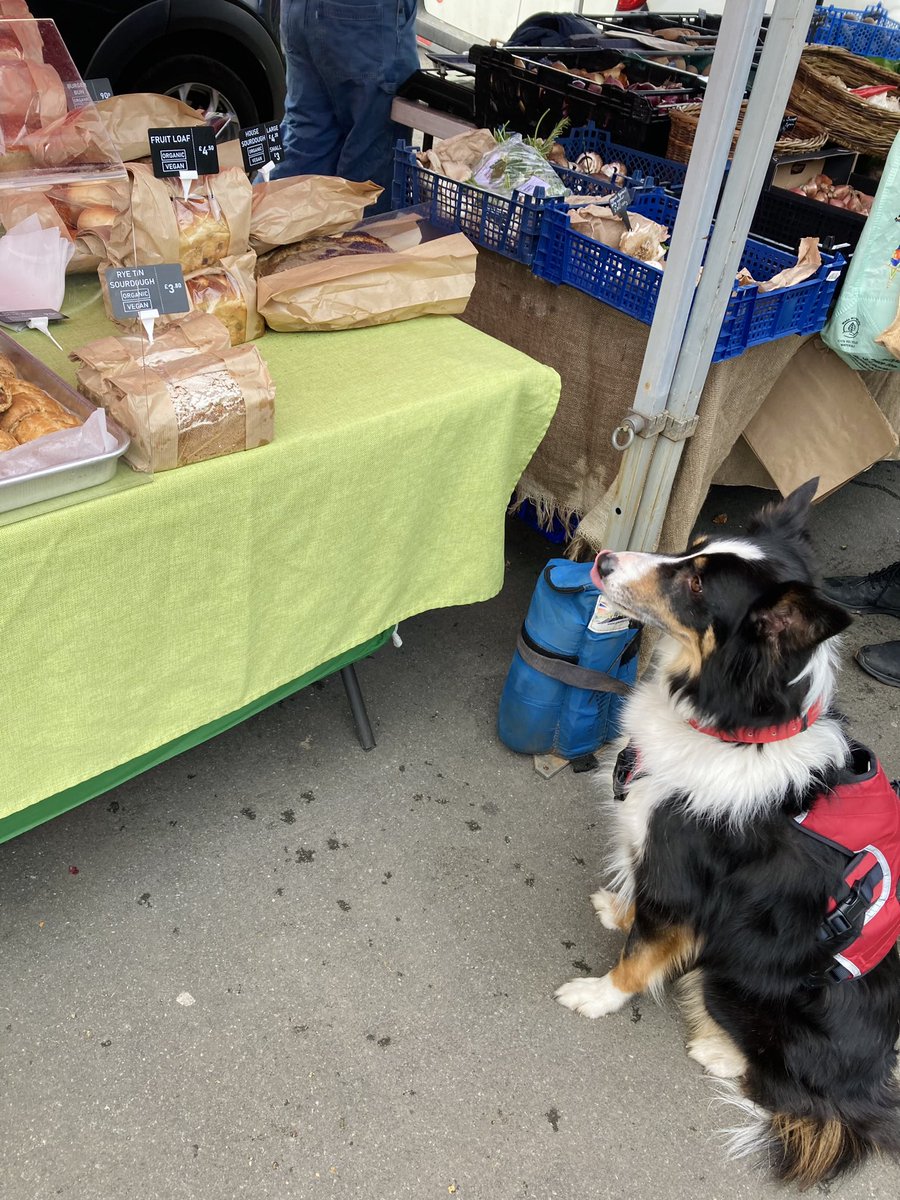 ColliBentley's tweet photo. Licky lippies! Sossie rolls from @PettigrewBakes @cdffarmersmkts #SundayFunday https://t.co/48gcI57IVZ