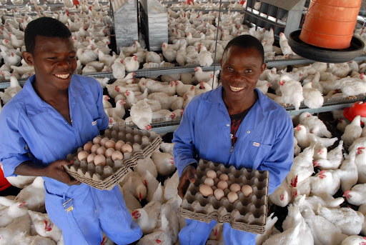 TechnoServe's tweet image. TechnoServe is searching for talented individuals for several key personnel positions. Join us in building a better world through your work. 
Apply here:  hubs.li/Q01Hr1s80  
#TechnoServe #TNS #SolutionsToPoverty #FightingPoverty #TNSHR