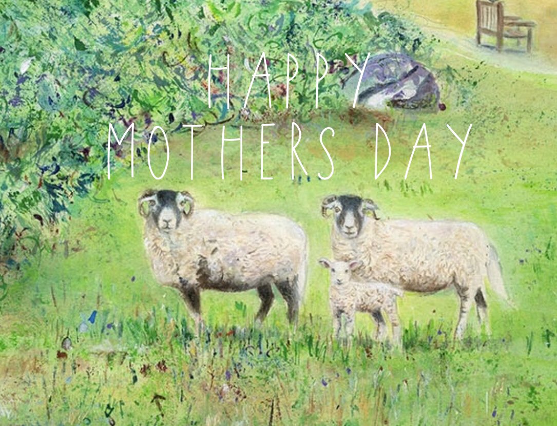 anitabowerman's tweet photo. Happy Mother’s Day to all you wonderful mothers, aunts, grandmothers, and anyone else out there!  Hope you are having a lovely day. Spring is just around the corner with these little lambs. 

https://t.co/ADK1SG4ugY

#happymothersday #Yorkshire #sheep #nature #harrogate #Art https://t.co/sBfcAN9899