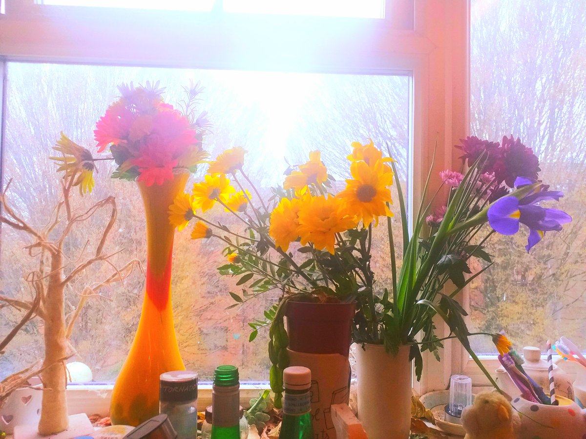 Bono66020372's tweet photo. #Mileycyrus - #Flowers for my dear late #mother Janet who went to an #allgirlcatholicschool &amp; did her #teachertraining in #Liverpool then she #worked as an #infantschoolteacher in Earlham hear in #Norwich. My mum met my dad Jack at the #Samsonandhercules &amp; they had #5children.... https://t.co/4vU5t19fmp
