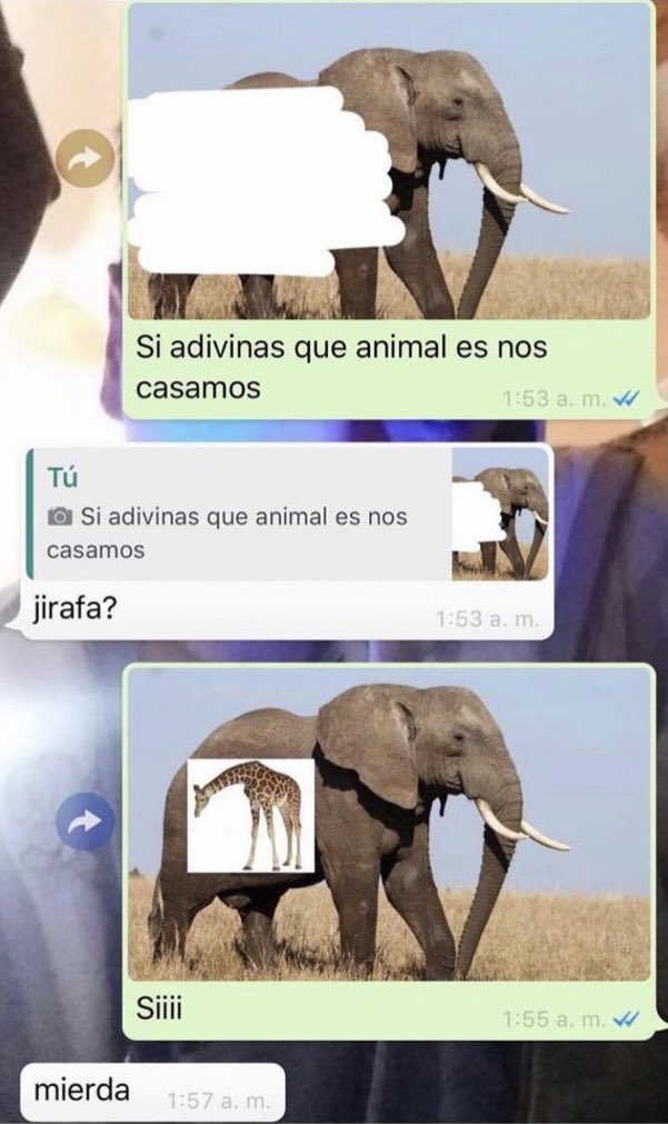 padecirnosotros's tweet photo. https://t.co/zX6OpIkOAA