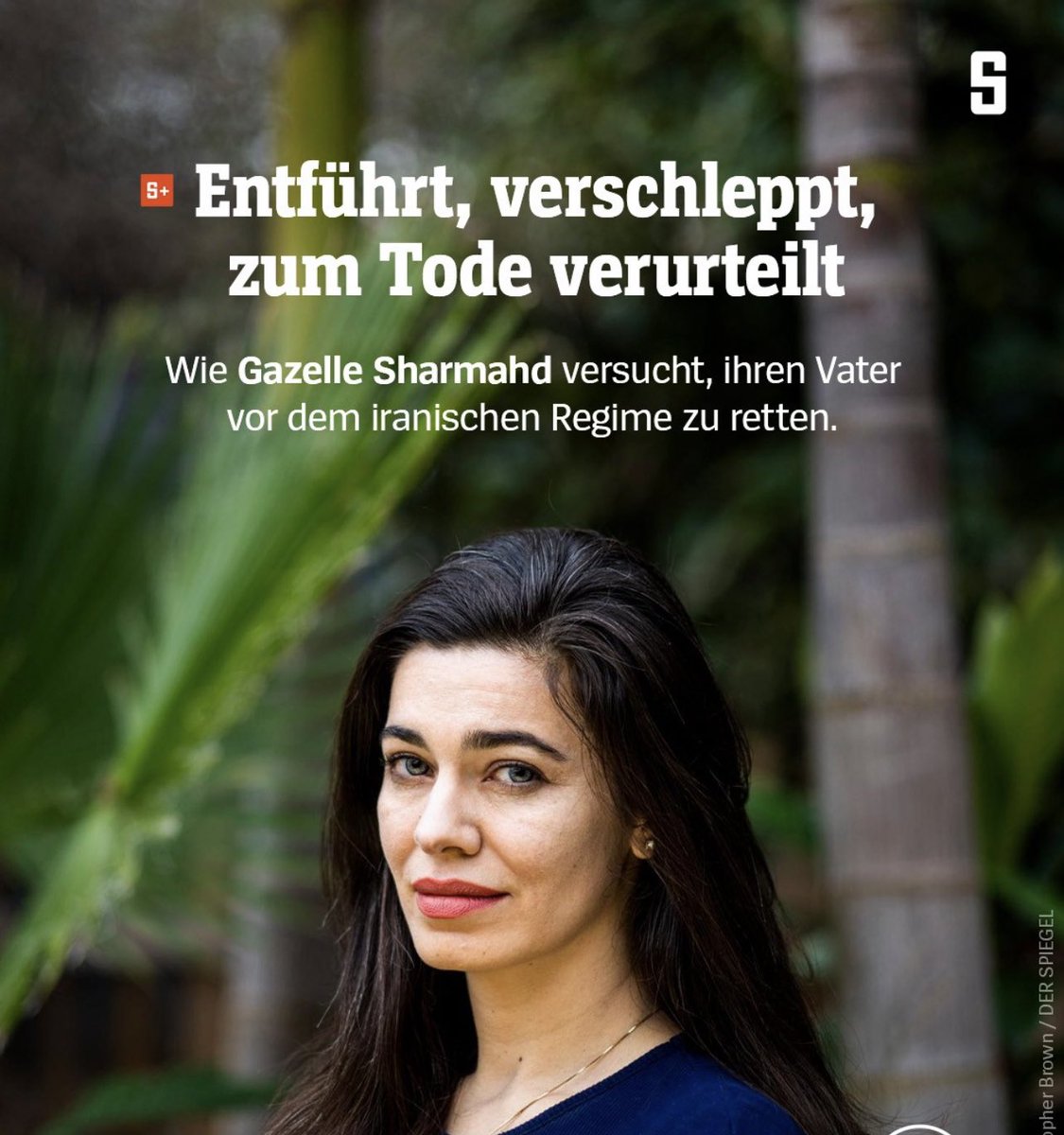 Düzen Tekkal tweet media