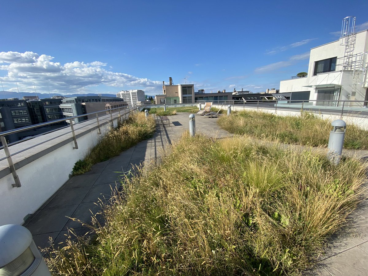 Douglas Edric Stanley tweet media