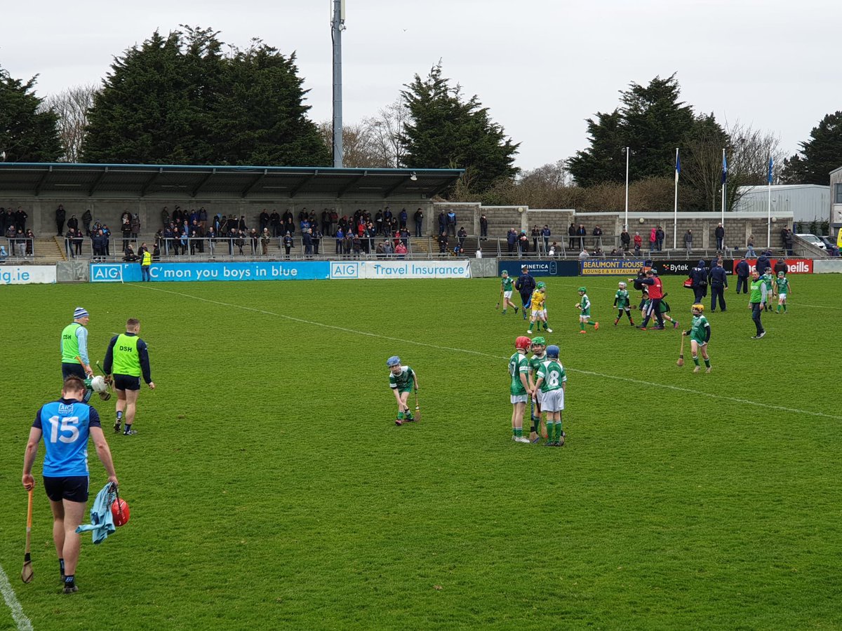 odwyersgaa's tweet photo. We hosted the Balbriggan Mens Shed members with a trip to watch Dublin hurlers v Laois, our u11 lads provided half time entertainment.Delighted to recognise the great work that the Mens Shed for the community. Looking forward to expanding the partnership into the future🙌🏼⭐️ https://t.co/NtqFC8gBZZ