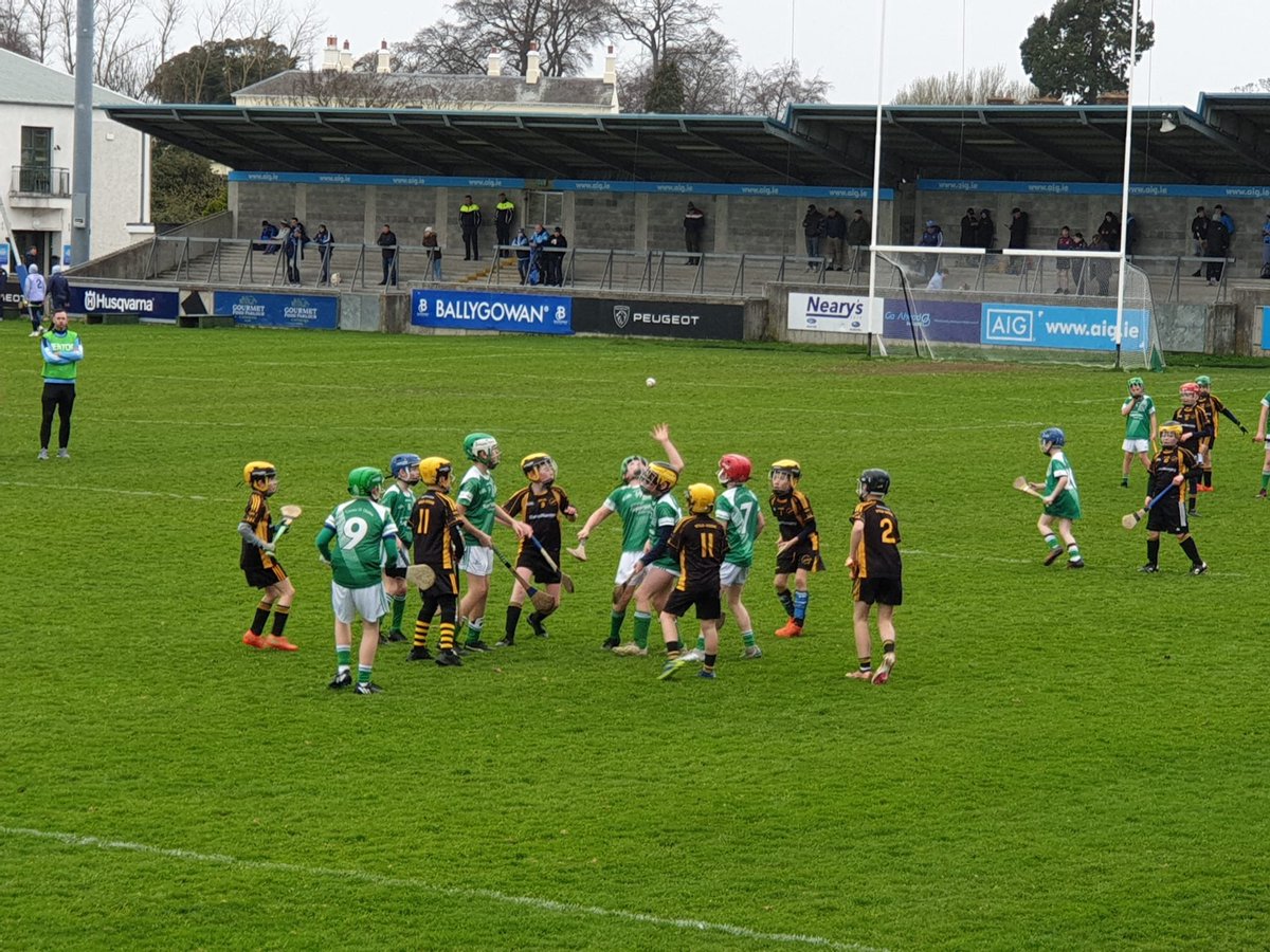 odwyersgaa's tweet photo. We hosted the Balbriggan Mens Shed members with a trip to watch Dublin hurlers v Laois, our u11 lads provided half time entertainment.Delighted to recognise the great work that the Mens Shed for the community. Looking forward to expanding the partnership into the future🙌🏼⭐️ https://t.co/NtqFC8gBZZ