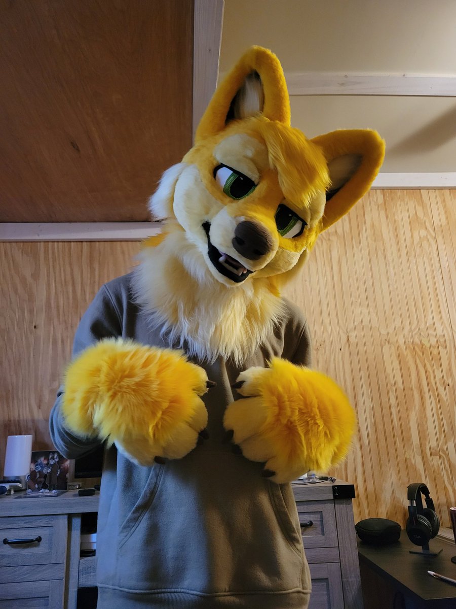 RenThaWolf's tweet photo. Is he cute 😍 https://t.co/A4EHe6JysF