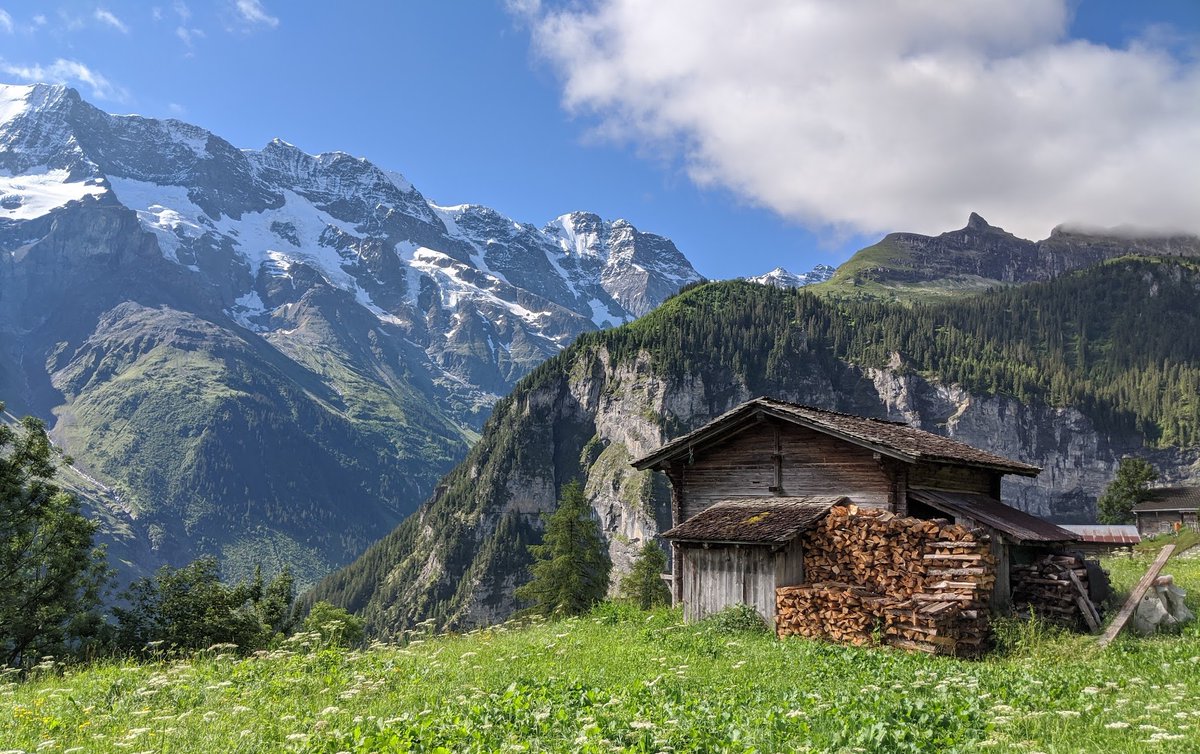 This is a sad day for Switzerland.

A cautious country with 39% debt-to-GDP, direct democracy, and a strong history of sound money.

Forever tarnished by a shameful institution that epitomized the fiat mindset. It's time to abandon the fiat nonsense and adopt sound money #Bitcoin