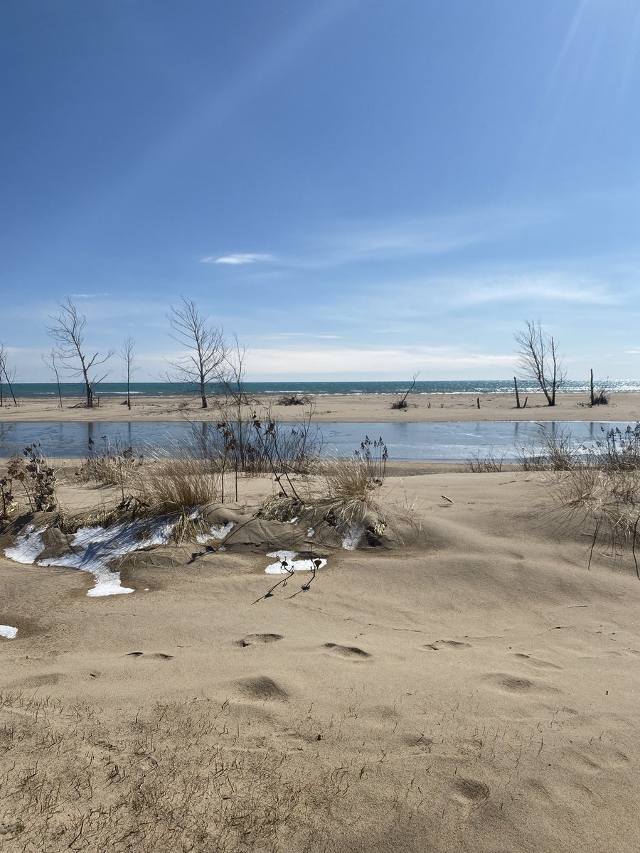 A few views from Tawas State Park - sky so blue today!