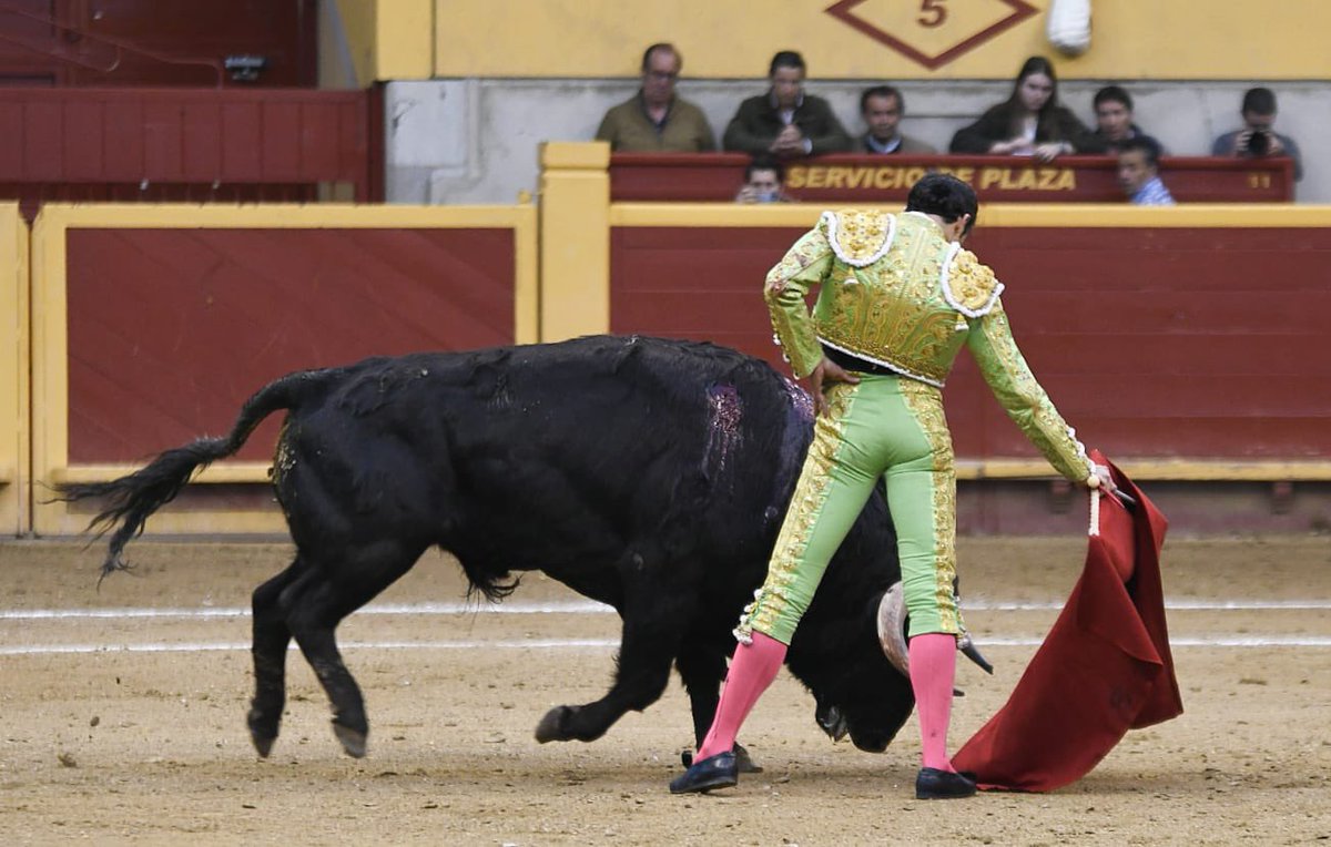 CopaChenel's tweet photo. 📸 Avance Moralzarzal, Cuarta  clasificatoria de la Copa Chenel 

4️⃣ Ovación con saludos tras aviso a @FilibertoMtnez en el cuarto, de José Enrique Fraile de Valdefresno, aplaudido en el arrastre https://t.co/DVy4ZVS2eF
