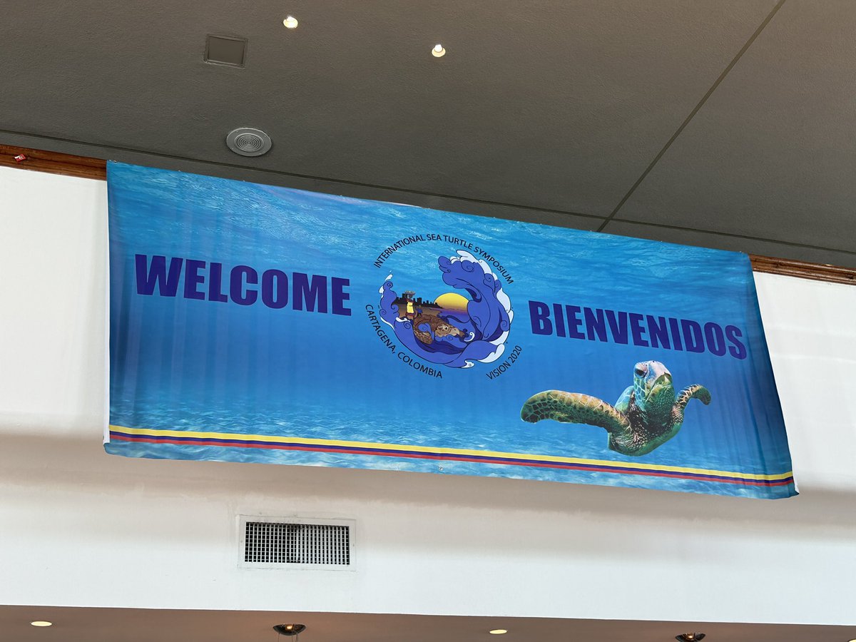 seaturtleweek's tweet photo. We will be live tweeting this week from the 41st International Sea Turtle Symposium from Cartagena, Columbia. We can’t wait to see so many familiar faces this week! 🐢 #ists41 https://t.co/pmVGRiMovD