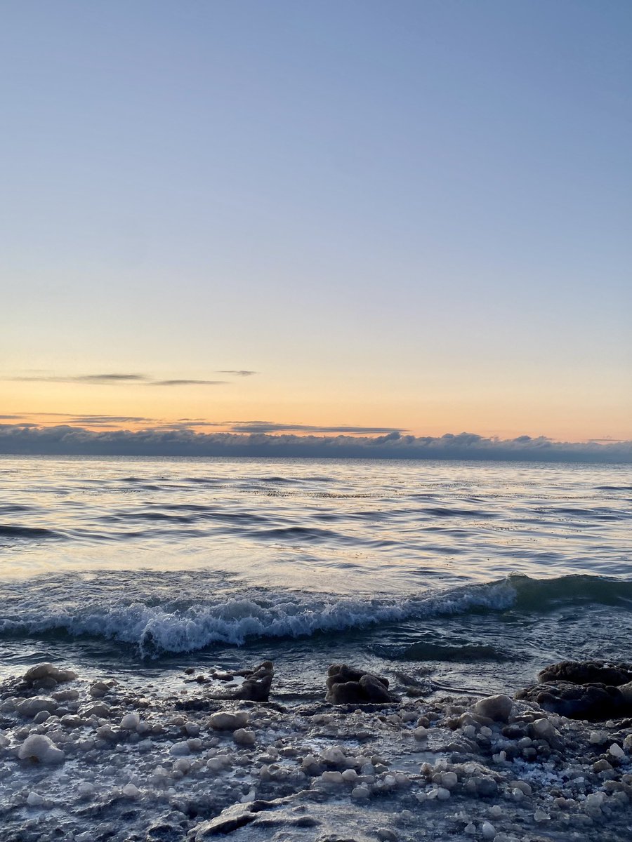 Nicole de B tweet media