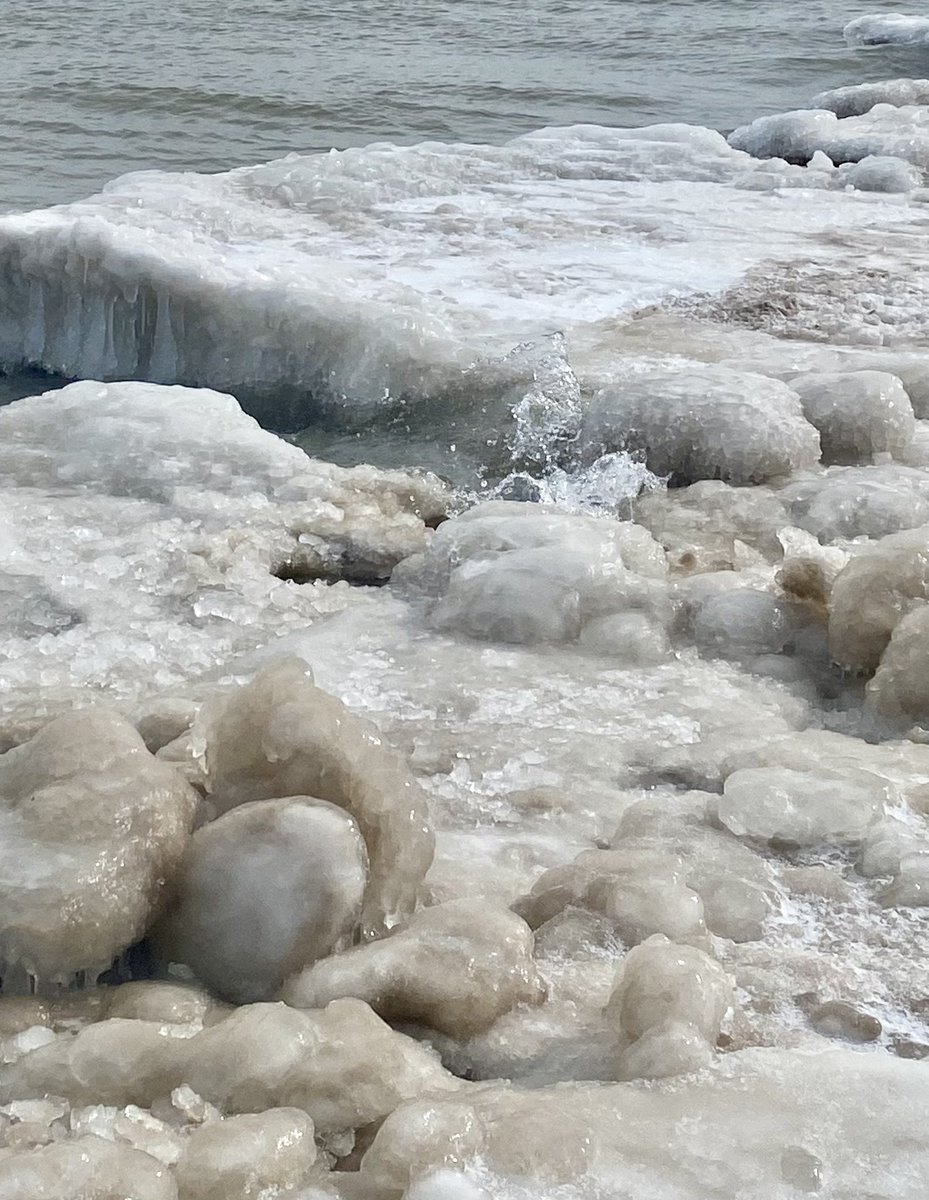 Nicole de B tweet media