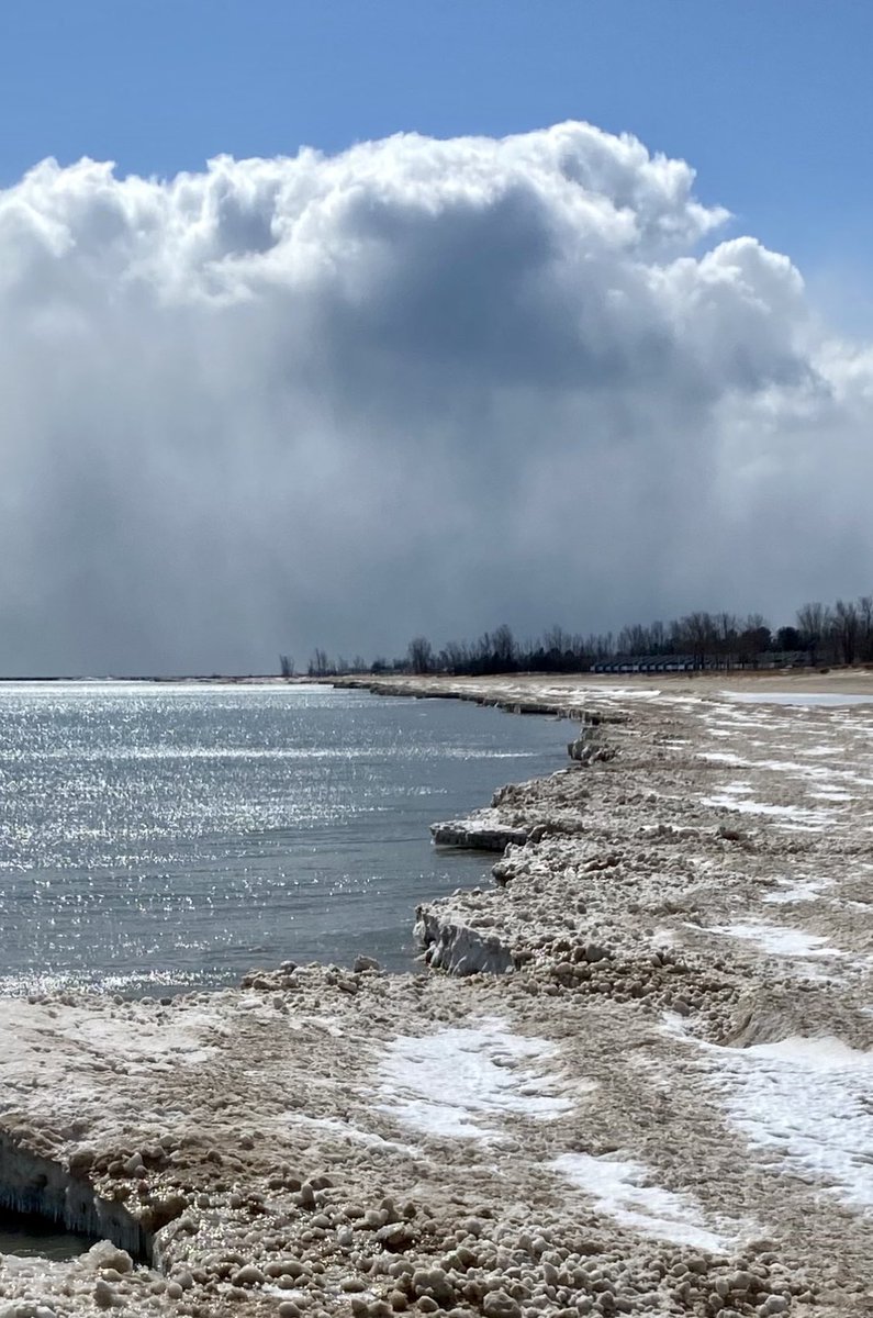 Nicole de B tweet media