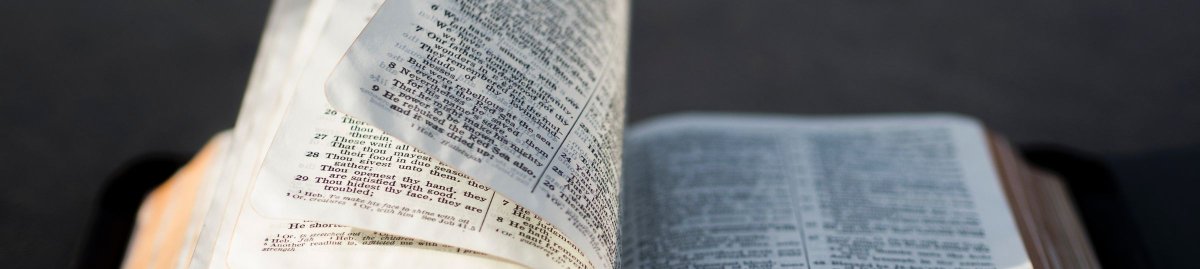 Bij een kerkfusie gaat het dus niet om het toetreden van plaatselijke kerken tot een nieuw kerkverband. Kerkrechtelijk is er veel meer voor te zeggen dat door een kerkfusie zich in de verenigde kerk de daarin verenigende kerken worden voortgezet.