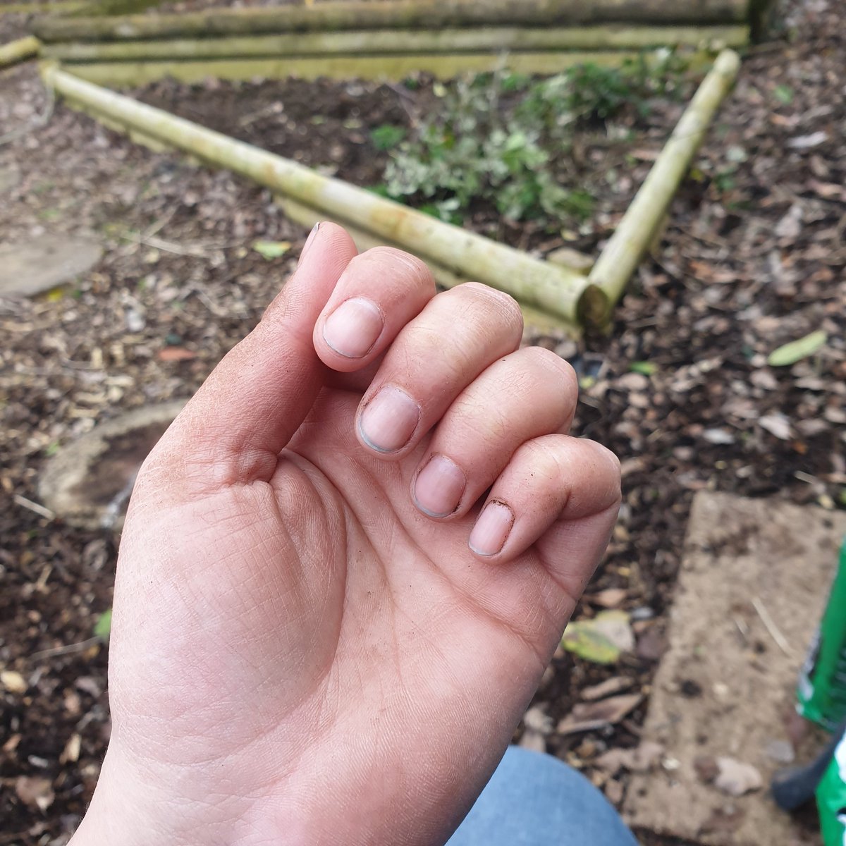 LCMarketing_'s tweet photo. A productive afternoon 🌱😌

#smallbusiness #smallbusinessowner #happyweekend #gardening https://t.co/ZbWH7ZH92Q