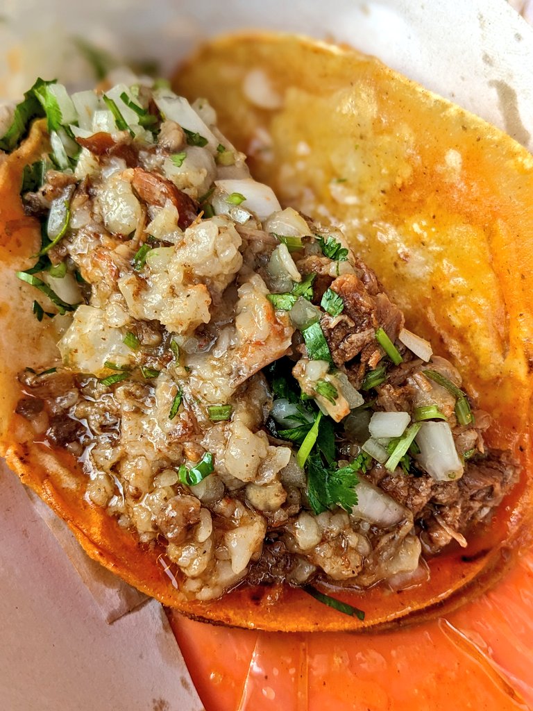 Bob el profesor on Twitter "Vine a desayunar tacos de birria con