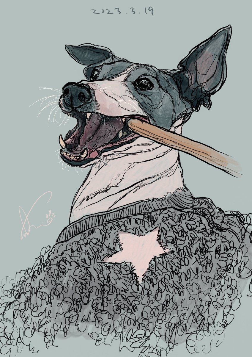 「今日の愛犬を描きました。 」|sakio🐾書籍「4ステップで誰でもかわいく描ける いぬとねこのイラスト練習帖」発売中🐾のイラスト