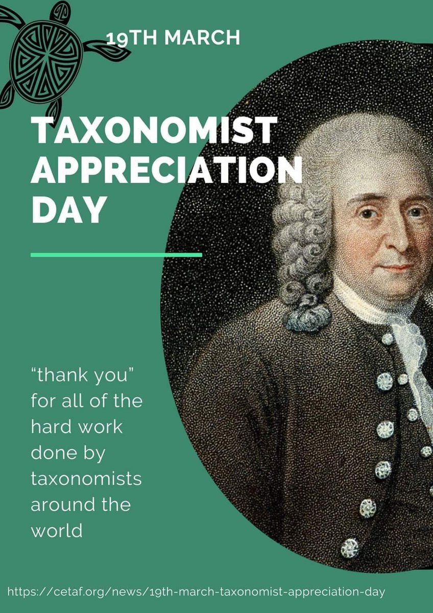 Dalton de Souza Amorim (@ddsamorim23) on Twitter photo 