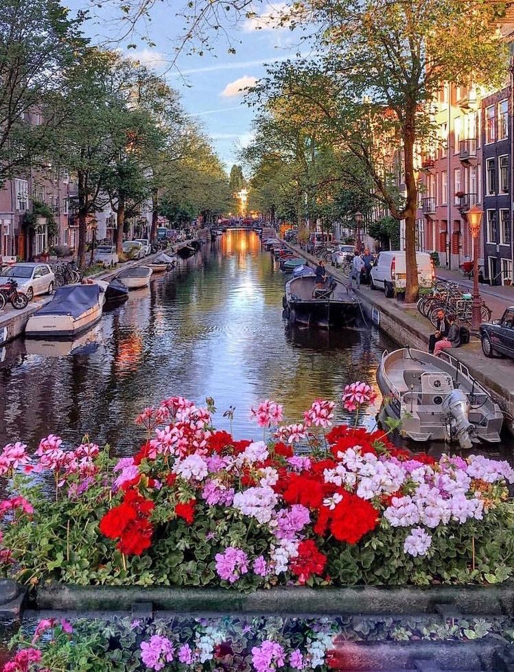 addictviews's tweet photo. Amsterdam https://t.co/psuAqYJD8O