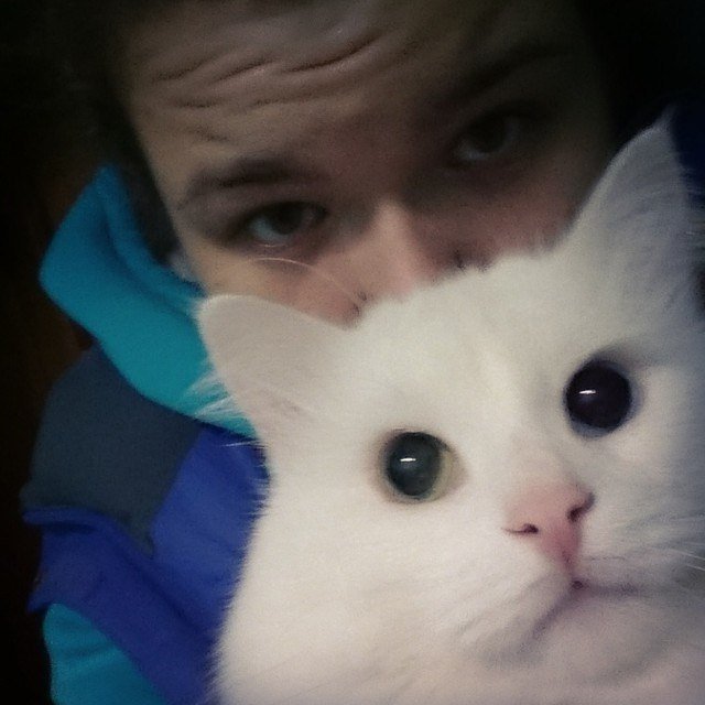 domashka's tweet photo. Я и мои котейшества:
��еголас Сильвесторович (2004-2018)
Шин Роршах Шторм Розовоносый
Тьма Гимли Люк Большеухий https://t.co/PenLXCcGKV