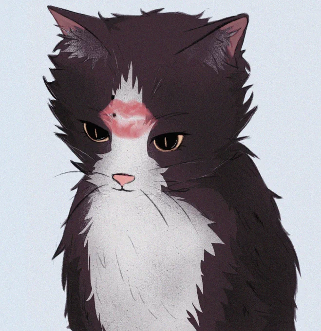 sharing some of my favourite omis i've drawn so far since its his bday #佐久早聖臣誕生祭2023 