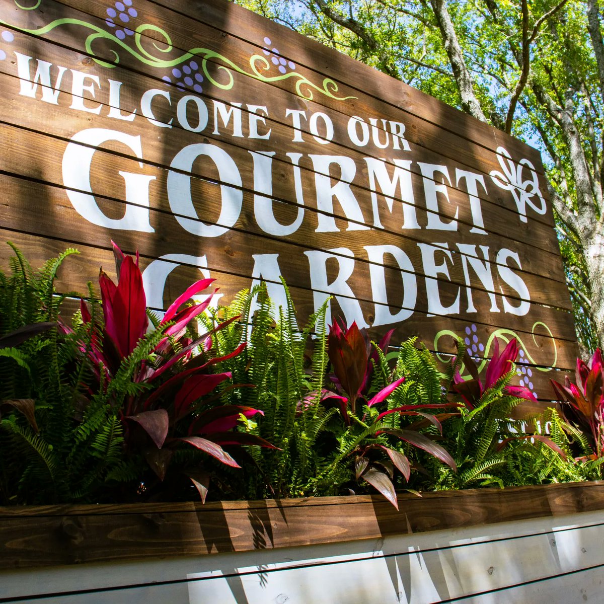 Unmanaged Media tweet media