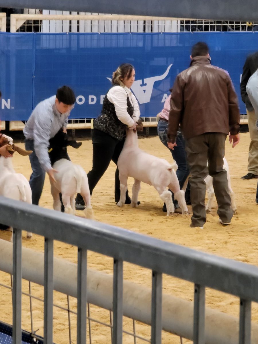 Shout out to our Rodeo Austin exhibitors, Kileigh Scott and Zoey Portugal!