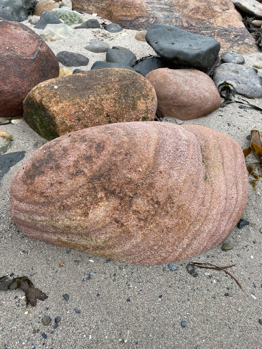 OlaKwiecien3's tweet photo. #Northumberland coast is simply fantastic, even without sun. We have had a great time today, spotted many quite amazing boulders and one very happy Pebble! 🌊🪨🐾🙂 @SFMBreitenbach @NUGeog  #ITCrew🍀🐾 1/2 https://t.co/Jbw1WaCxHu