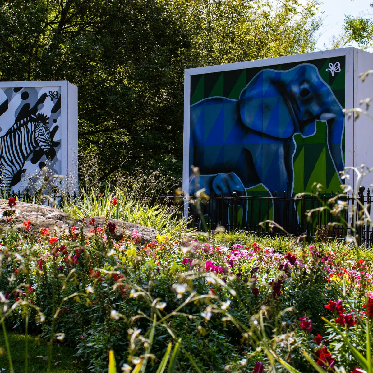 Unmanaged Media tweet media