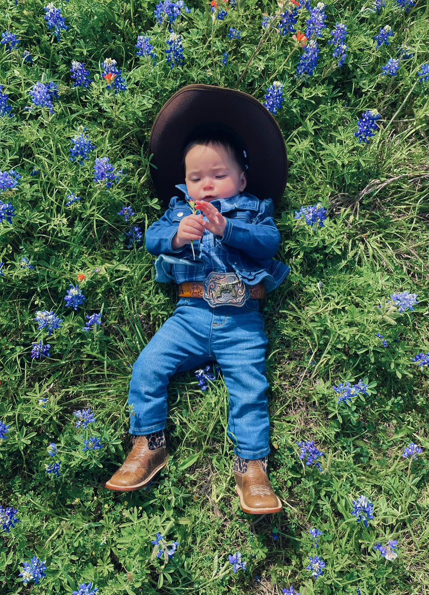 Darlene Bateman(Lopez) (@drlnlopez85) on Twitter photo When it’s Spring in Texas, you enjoy the Bluebonnets that are at Tool Rental side of the local @homedepot #ToolRental #Brenham #MyBabies #MartyAndMona @TravisMoser12 <a href="/AaronM6586/">Aaron Miller</a> When it’s Spring in Texas, you enjoy the Bluebonnets that are at Tool Rental side of the local @homedepot #ToolRental #Brenham #MyBabies #MartyAndMona @TravisMoser12 <a href="/AaronM6586/">Aaron Miller</a>