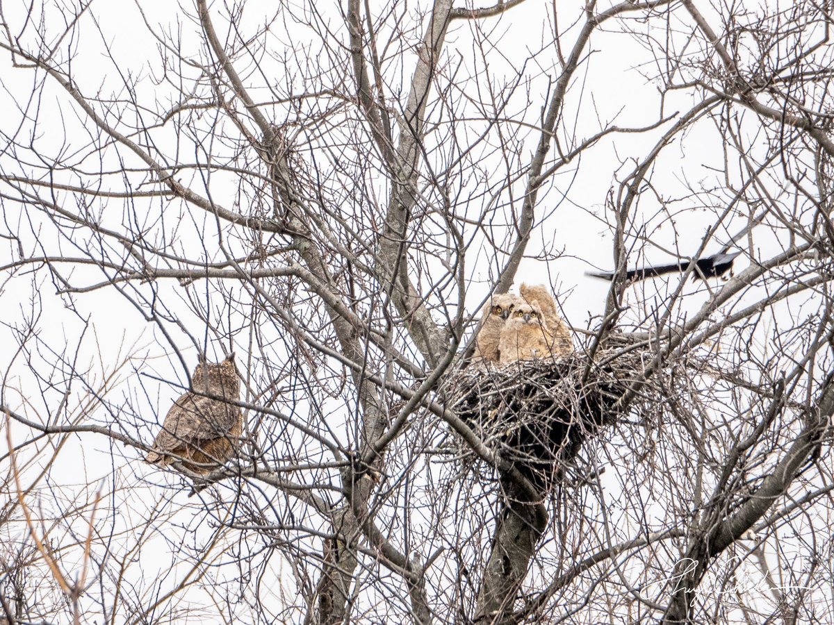 Sheryl Checkman on Twitter "This series of shots shows how the mom
