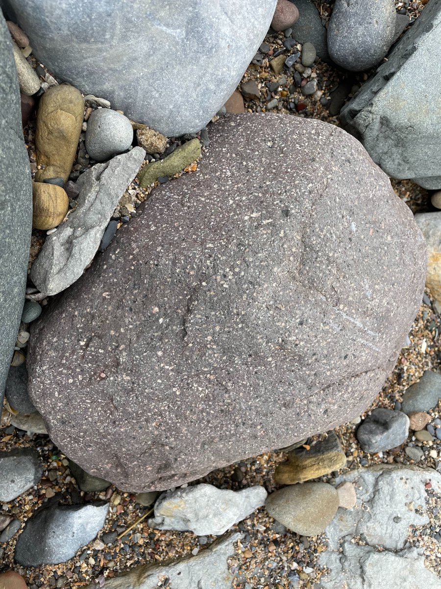 OlaKwiecien3's tweet photo. #Northumberland coast is simply fantastic, even without sun. We have had a great time today, spotted many quite amazing boulders and one very happy Pebble! 🌊🪨🐾🙂 @SFMBreitenbach @NUGeog  #ITCrew🍀🐾 1/2 https://t.co/Jbw1WaCxHu