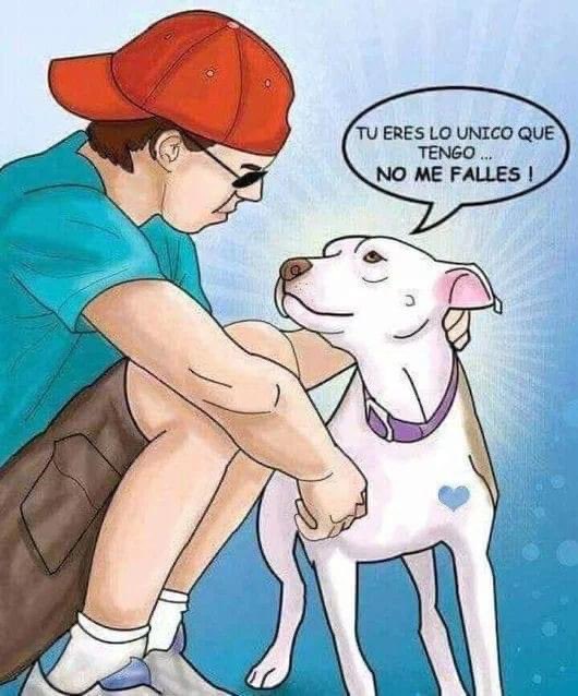 elegante2011's tweet photo. TÚ eres lo único que tengo #NoMeFalles. 🐾🐈🐶💞❤️ #AmorPorLosAnimales. #FelizDomingoATodos 👇☺️🌹 https://t.co/sqGevH6p3c