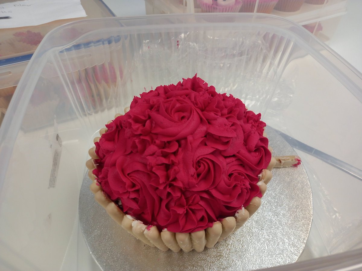 Red nose day cakes ... house challenge bake off