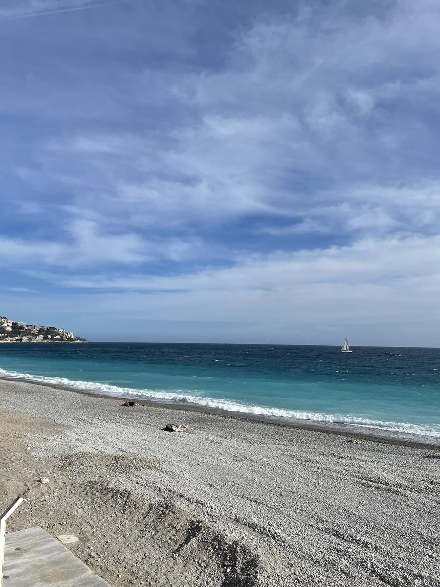 Super glad to have had the chance to participate to the ECNP Workshop for early career scientists in Nice! ✨ Great talks, amazing fellows, and a beautiful place 💙 Thanks @ECNPtweets