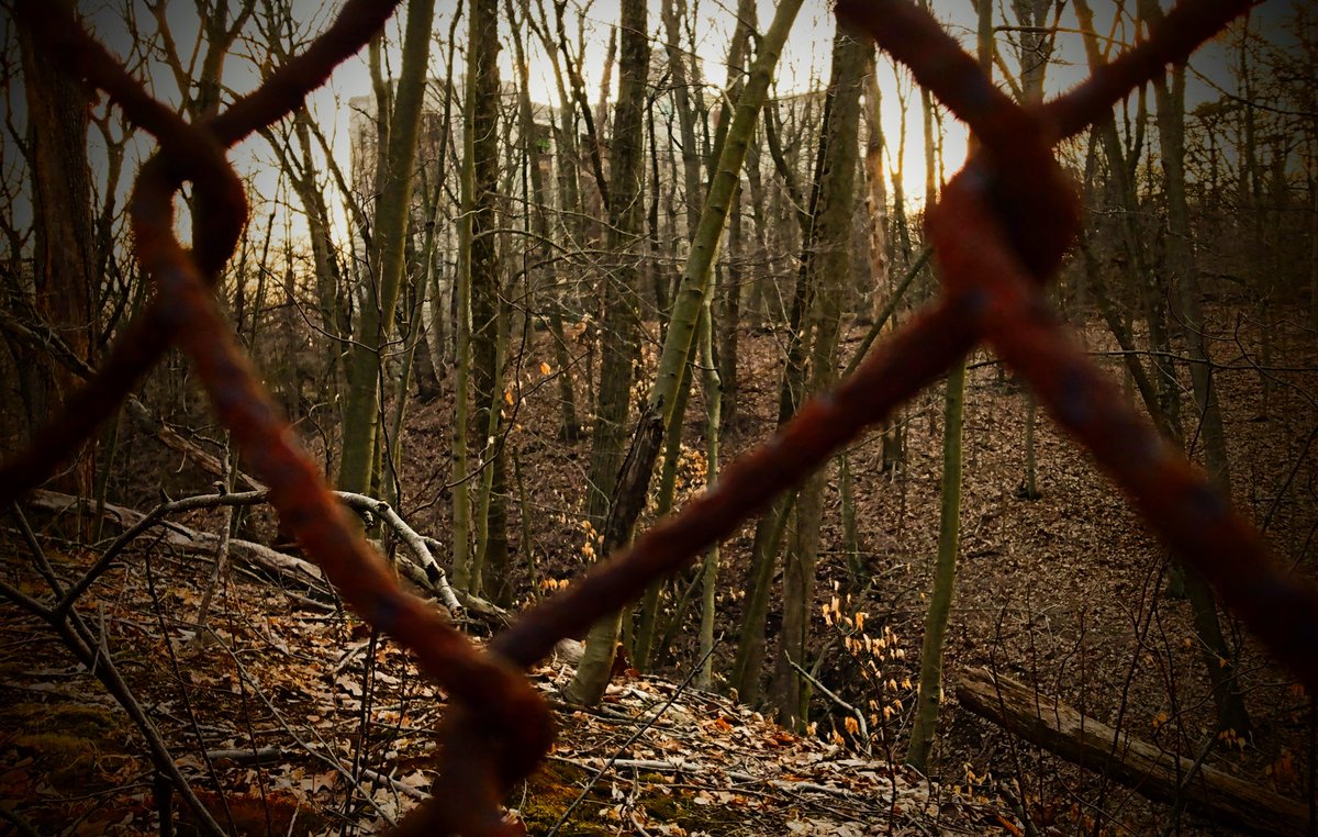 Hobie_Katt's tweet photo. some places, you can feel the heaviness to the point of rubber knees 🙀👻
#abandoned
#haunted
#somethinginside https://t.co/vLYpy0DLdq